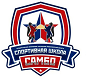 ГАУ НСО «Спортивная школа самбо»
