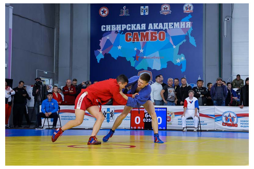 Борцы самбисты